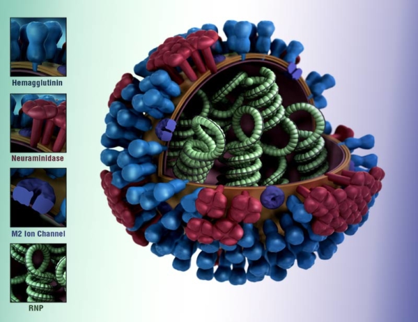 Influenza - Medigen